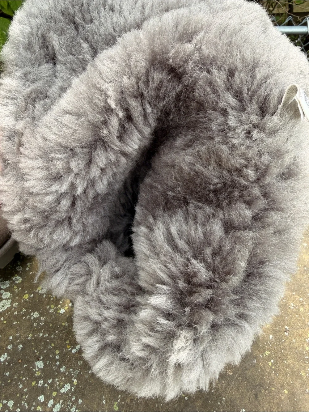 UGG Tall Button-Accent Suede Boots - Gray